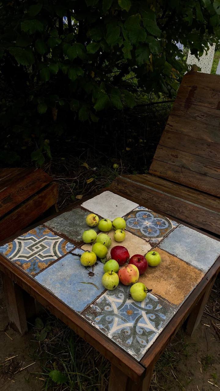 Киян запрошують у сади ВДНГ пригощатись яблуками.