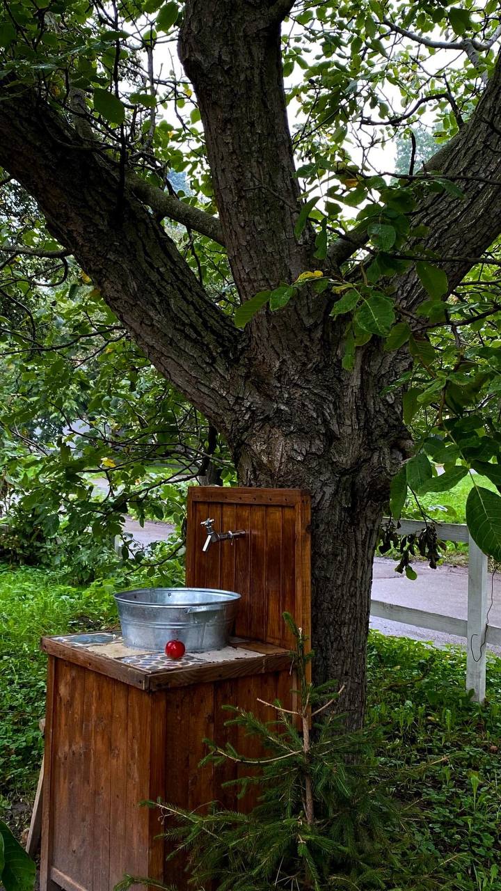 Киян запрошують у сади ВДНГ пригощатись яблуками.