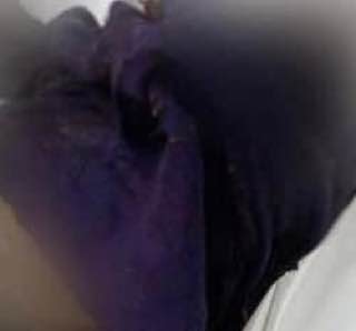 У Київській області виявили тіло ще одного загиблого під час окупації.