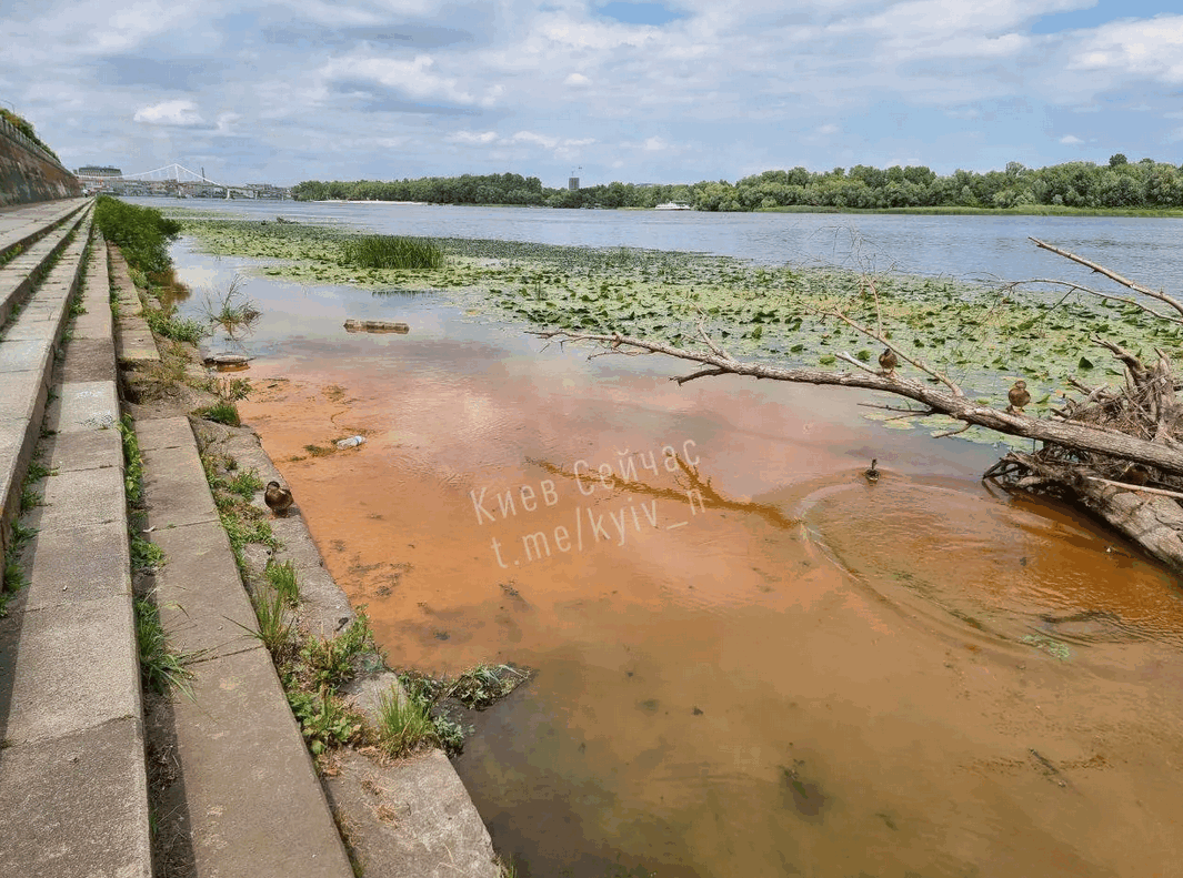 Фото: t.me/kyiv_n