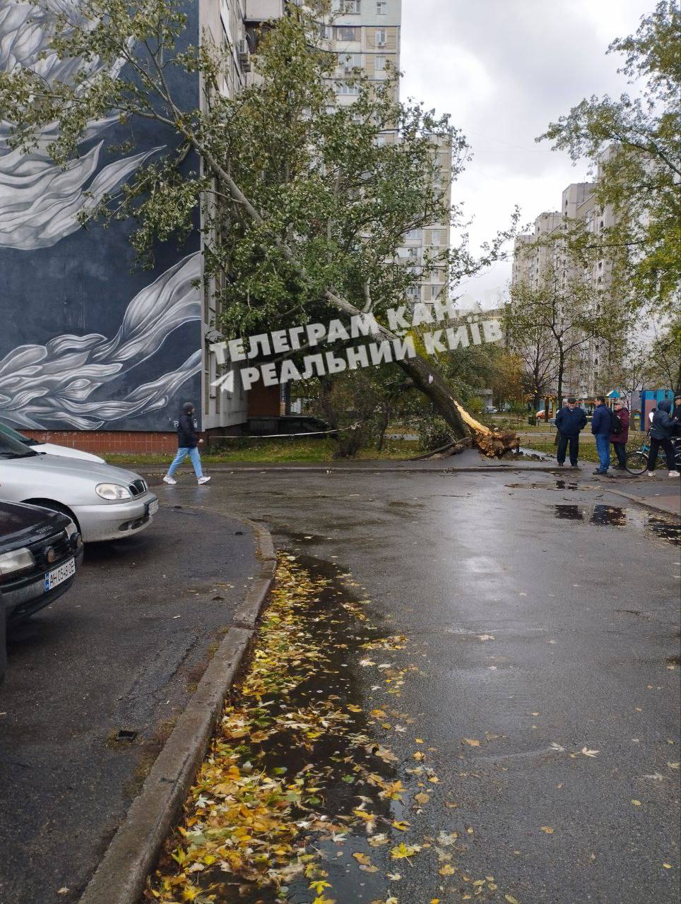 Фото: t.me/kievreal1