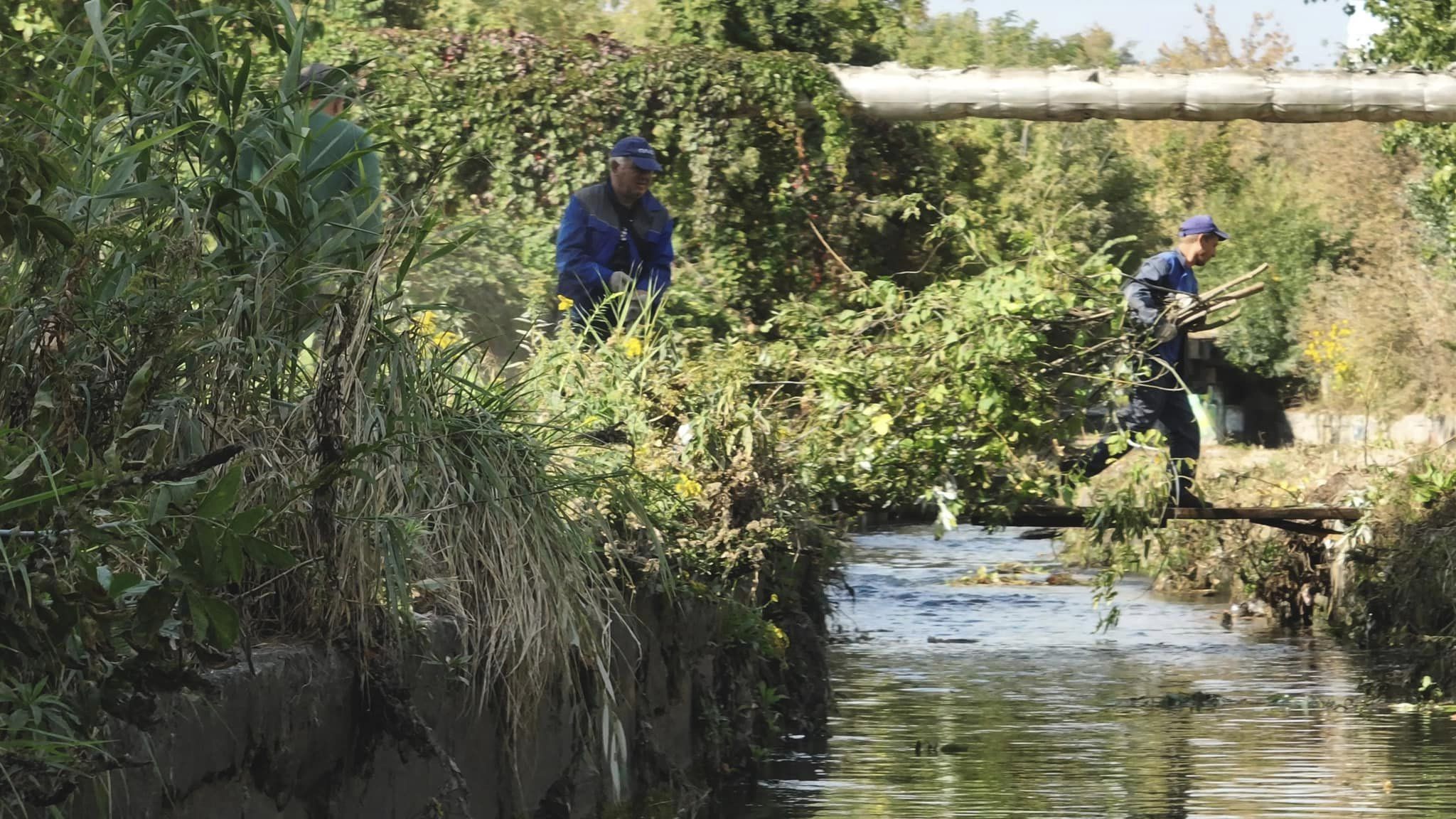 Фото: facebook.com/pleso2016