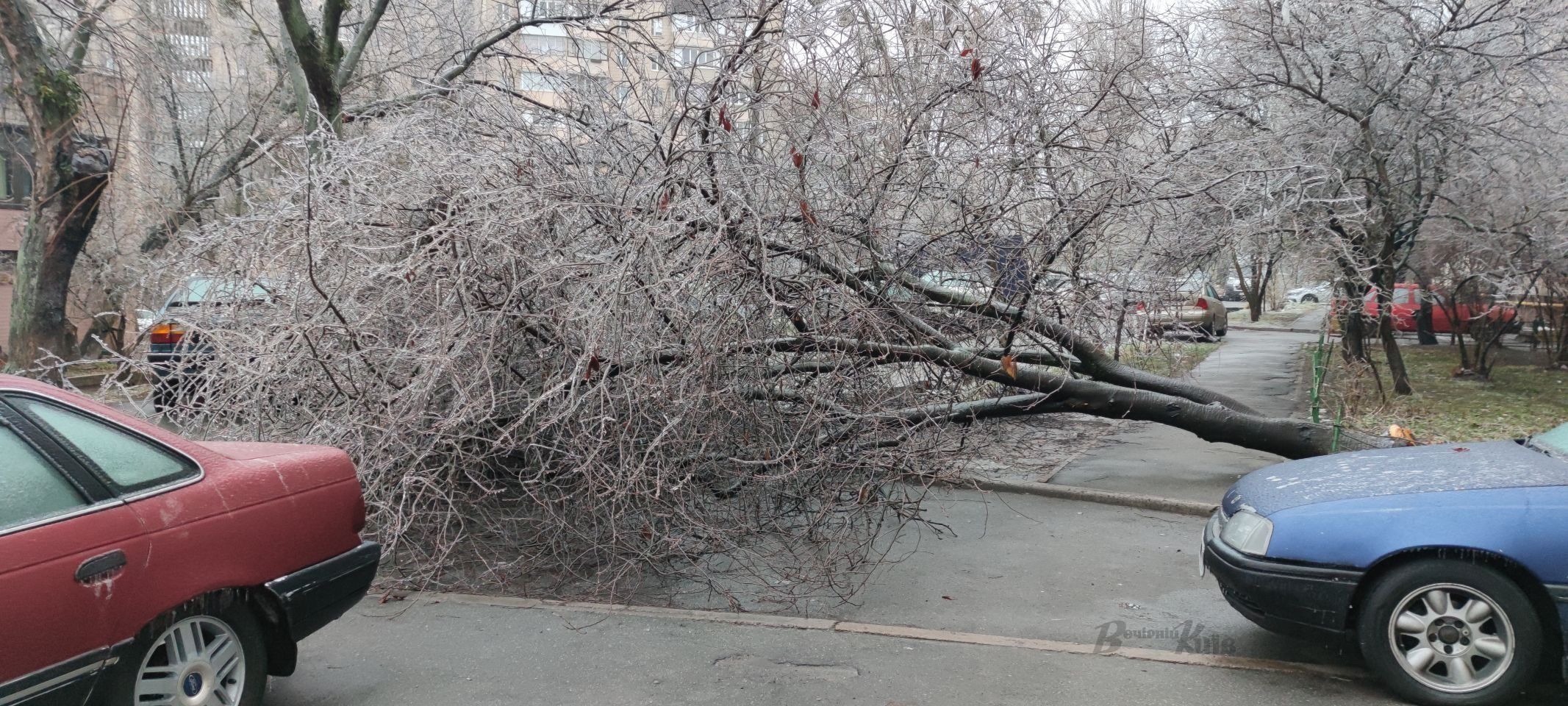 Фото: vechirniy.kyiv.ua