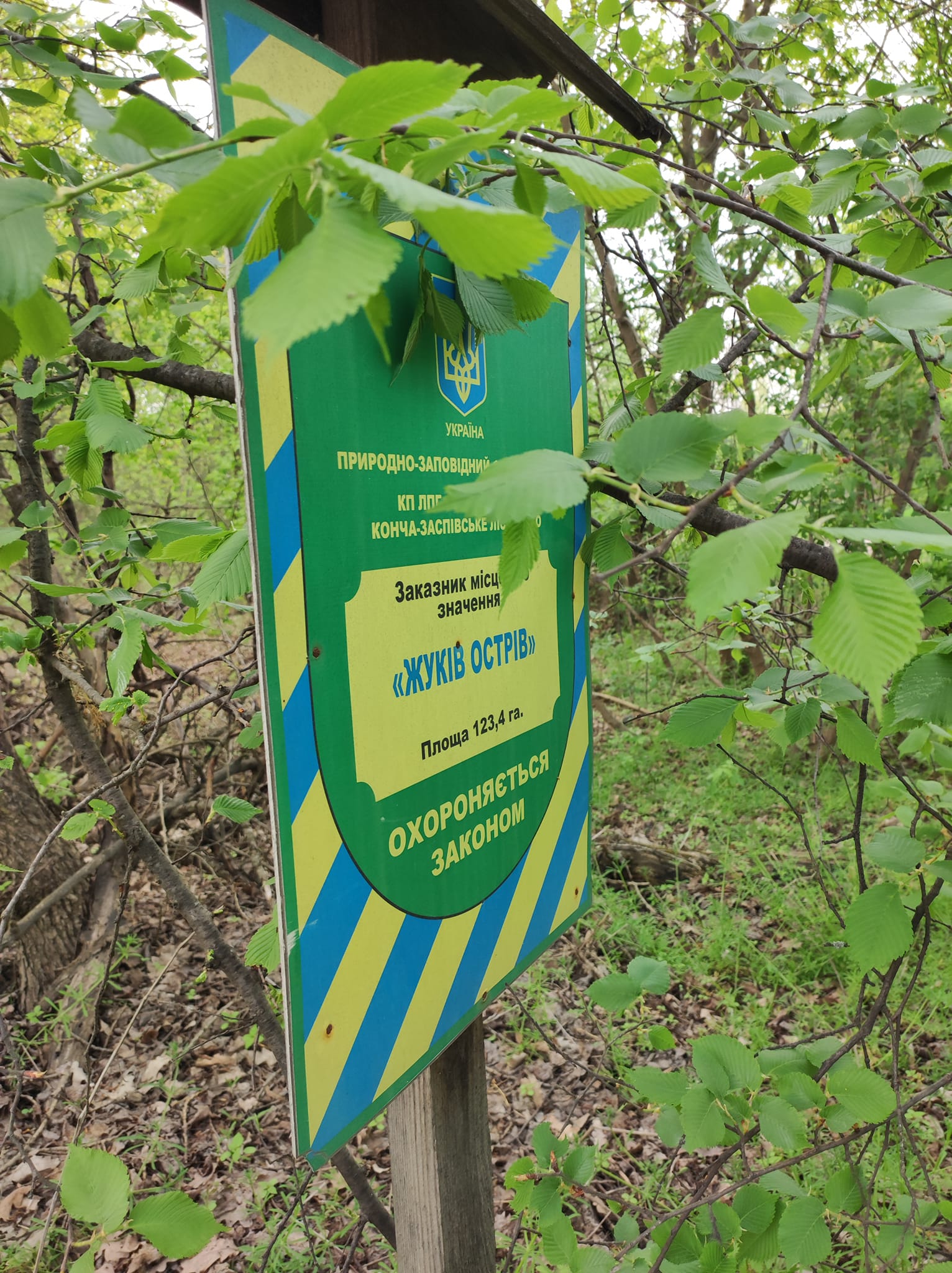 Фото: facebook.com/oleksandr.sokolenko