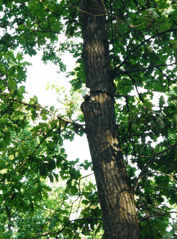 Фото: facebook.com/groups/1578992759051504