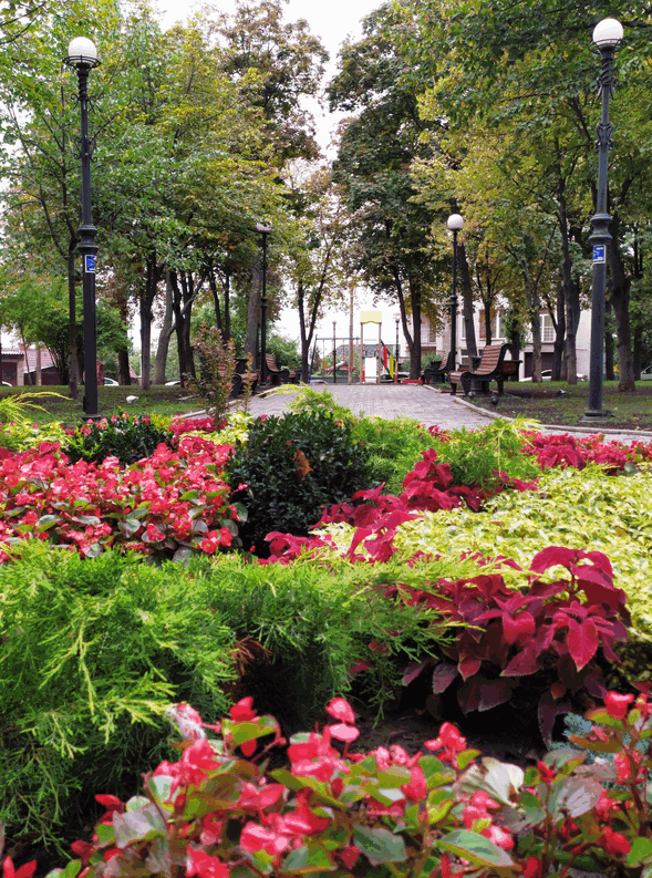 Фото: facebook.com/zelenbud