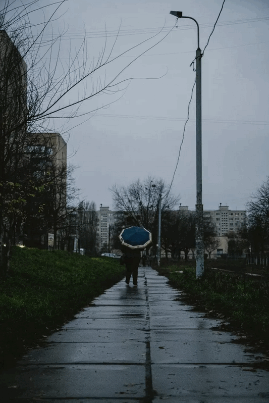 Фото: instagram.com/borschahivka_project