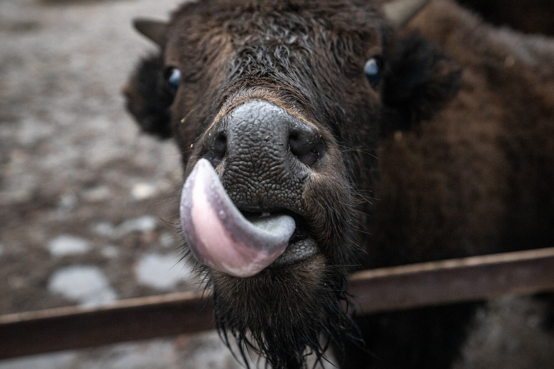 Фото: kyivcity.gov.ua