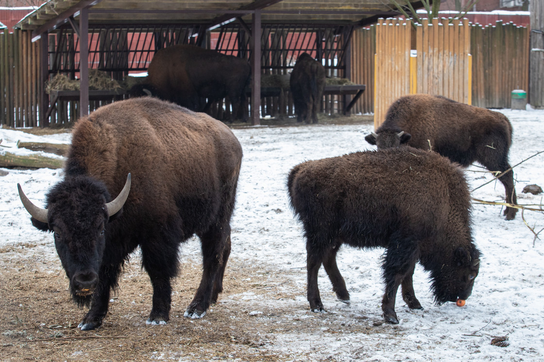 Фото: kyivcity.gov.ua