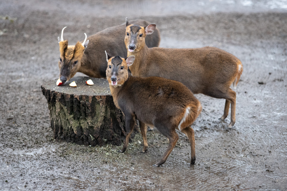 Фото: kyivcity.gov.ua