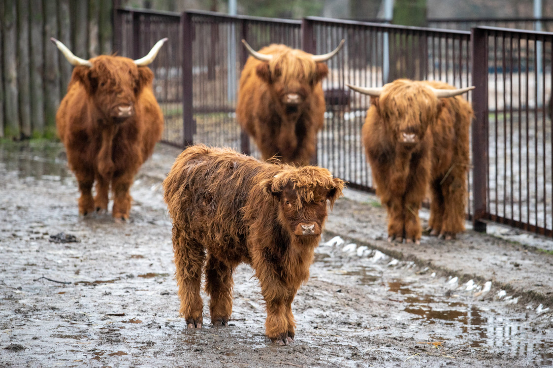 Фото: kyivcity.gov.ua