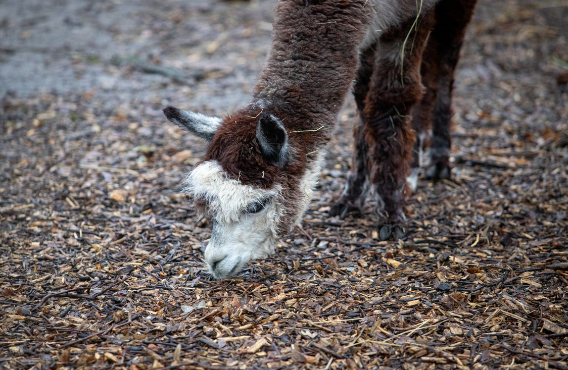 Фото: kyivcity.gov.ua