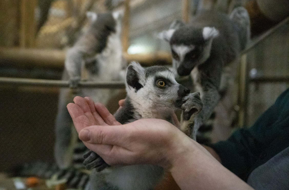Фото: kyivcity.gov.ua