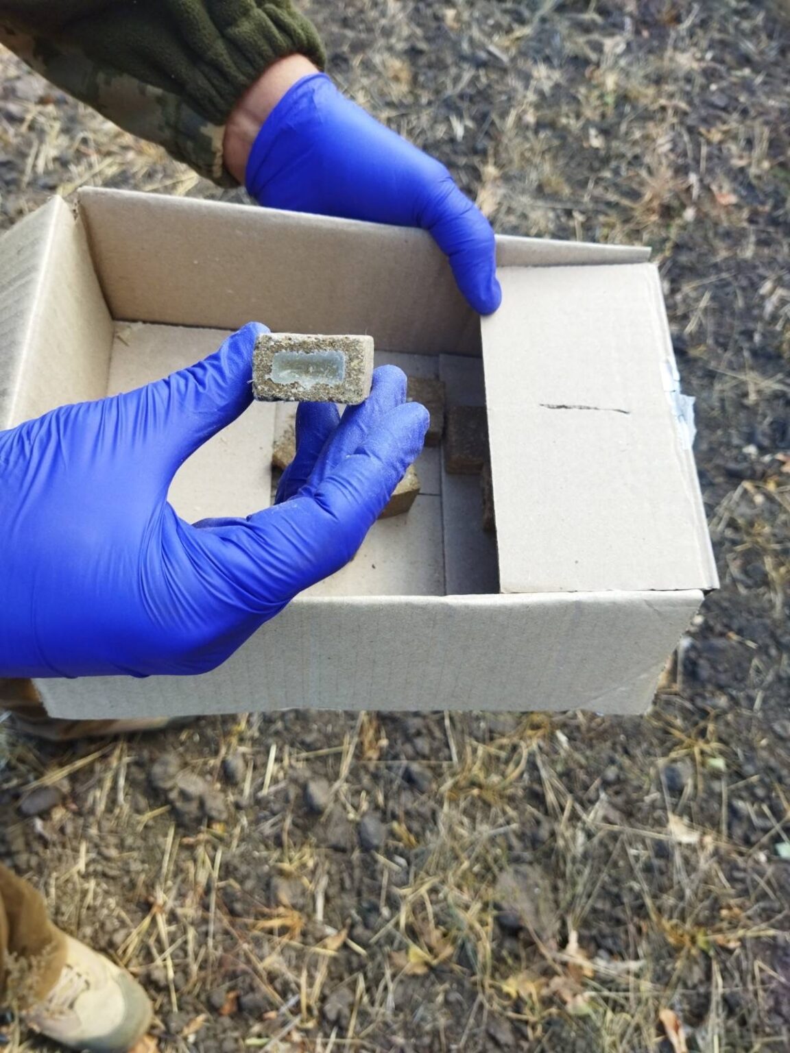 Фото: dpssko.gov.ua