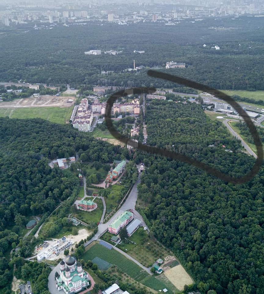 Черным обведена территория, попавшая под вырубку