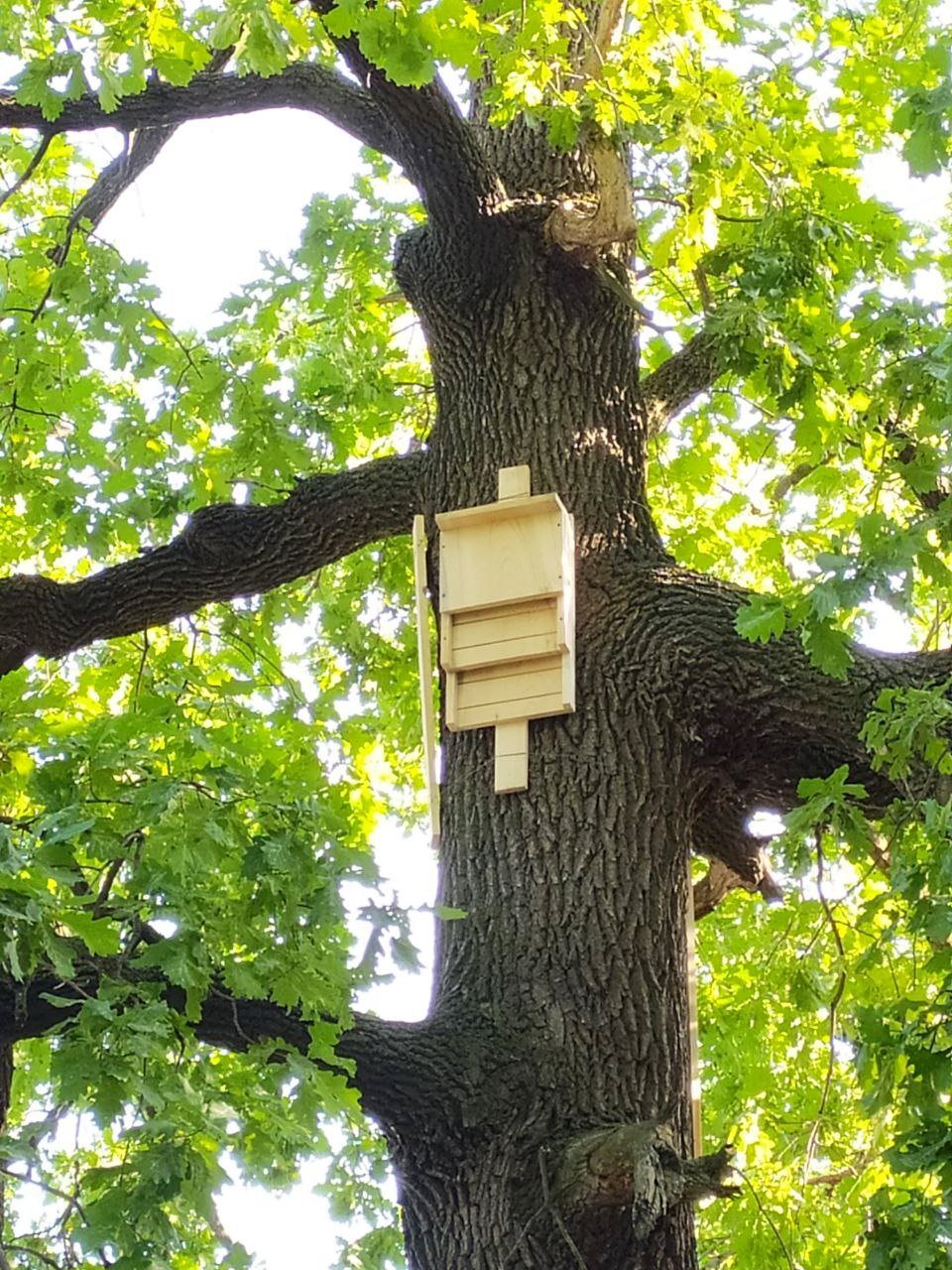 Фото: facebook.com/zelenbud