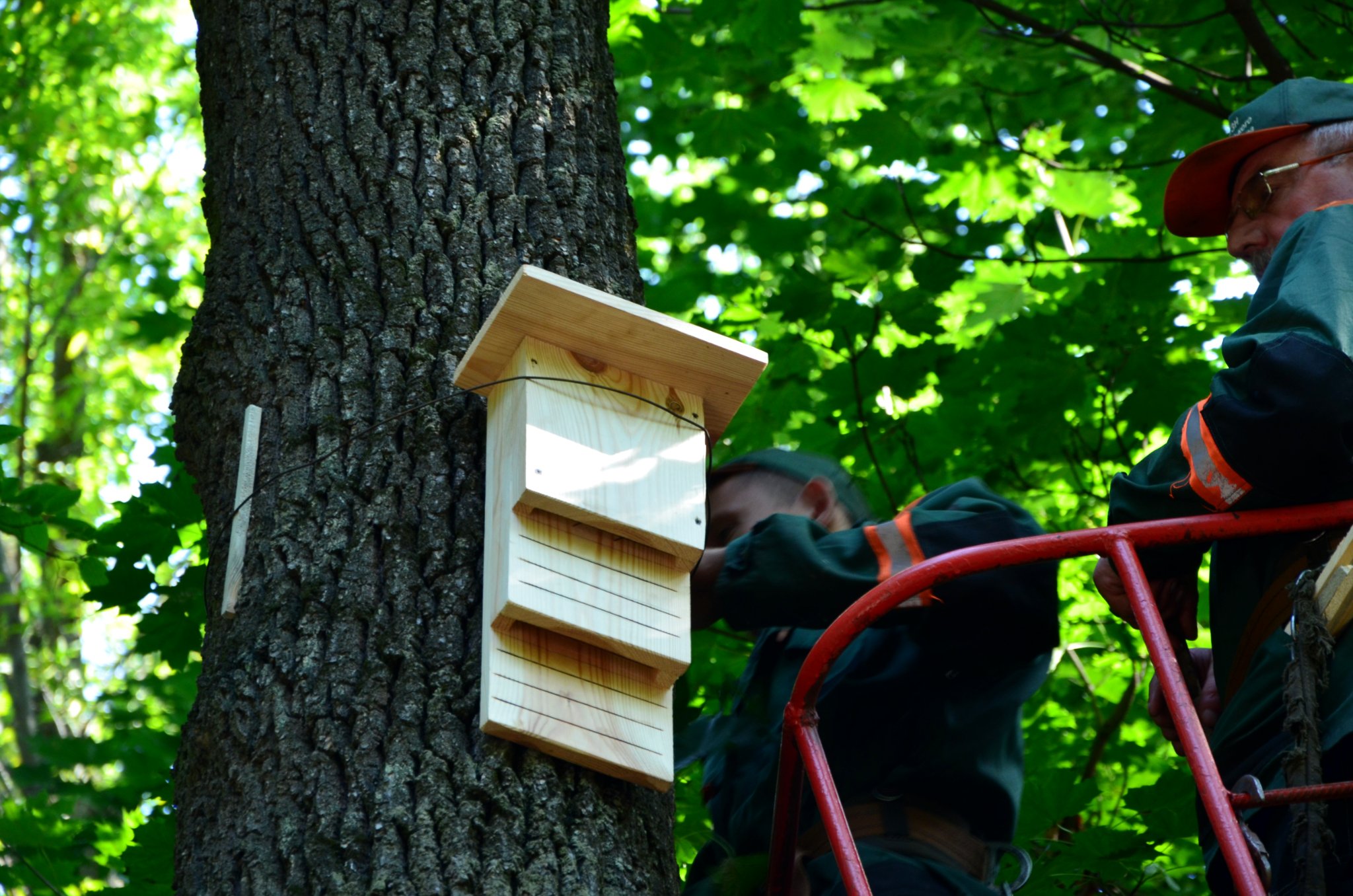 Фото: facebook.com/zelenbud