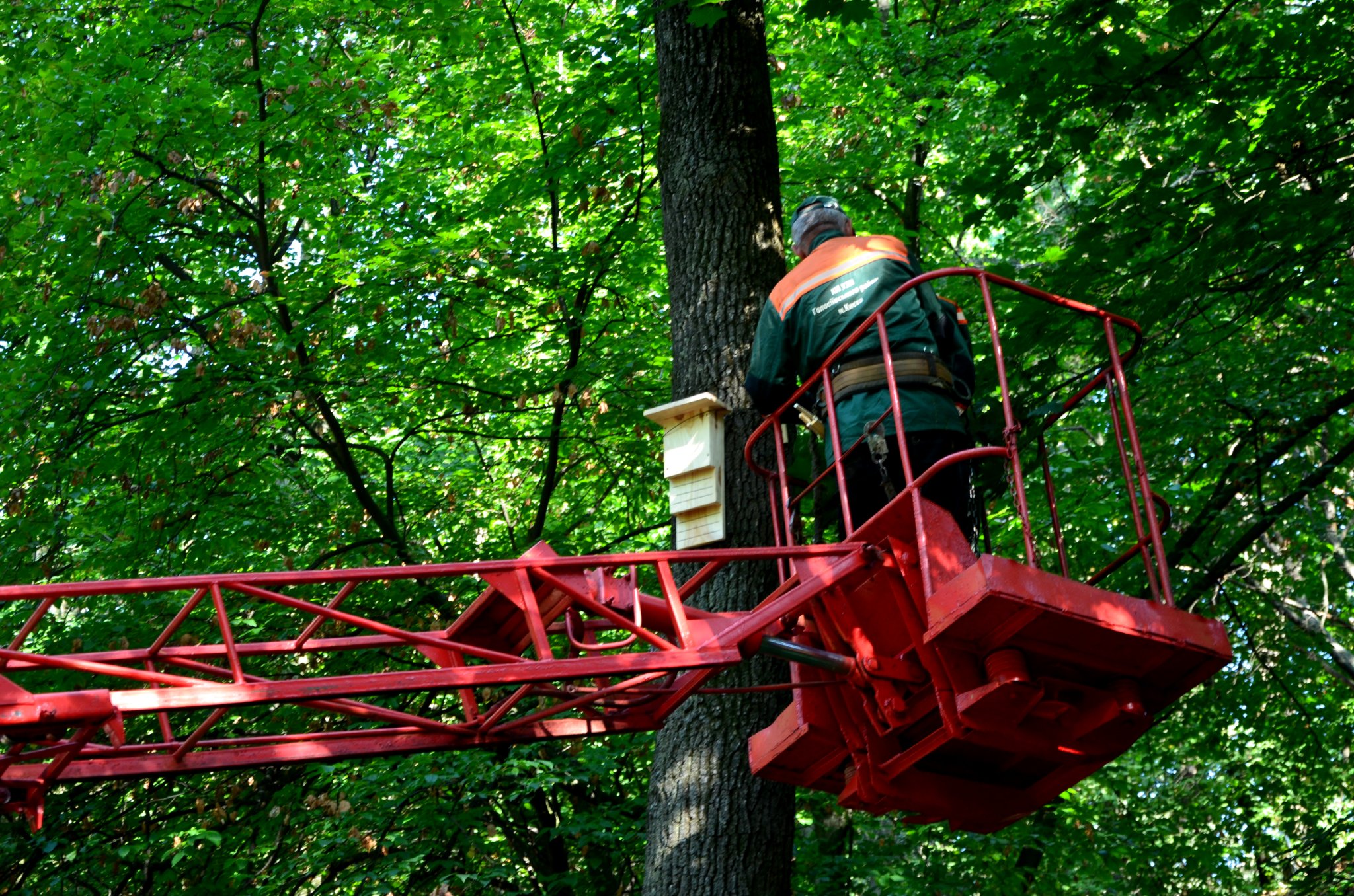 Фото: facebook.com/zelenbud