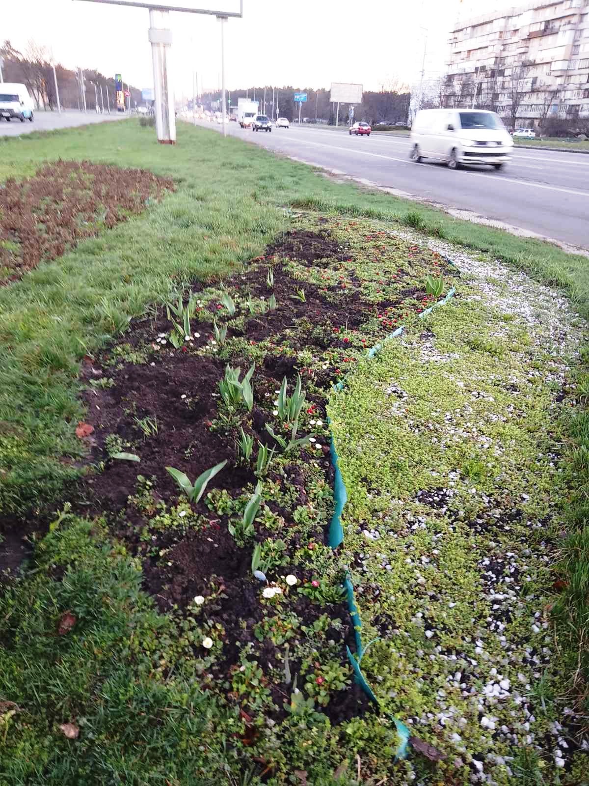 Фото: facebook.com/zelenbud