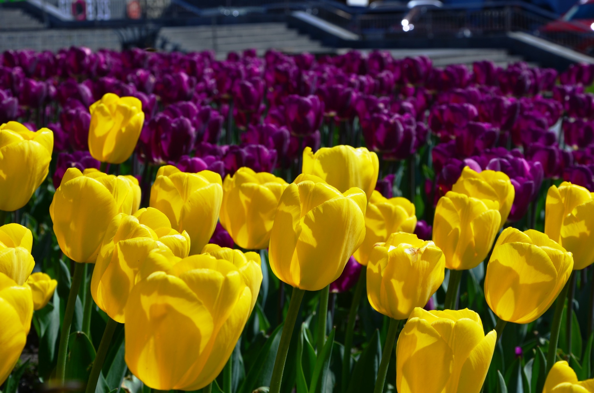 Фото: facebook.com/zelenbud