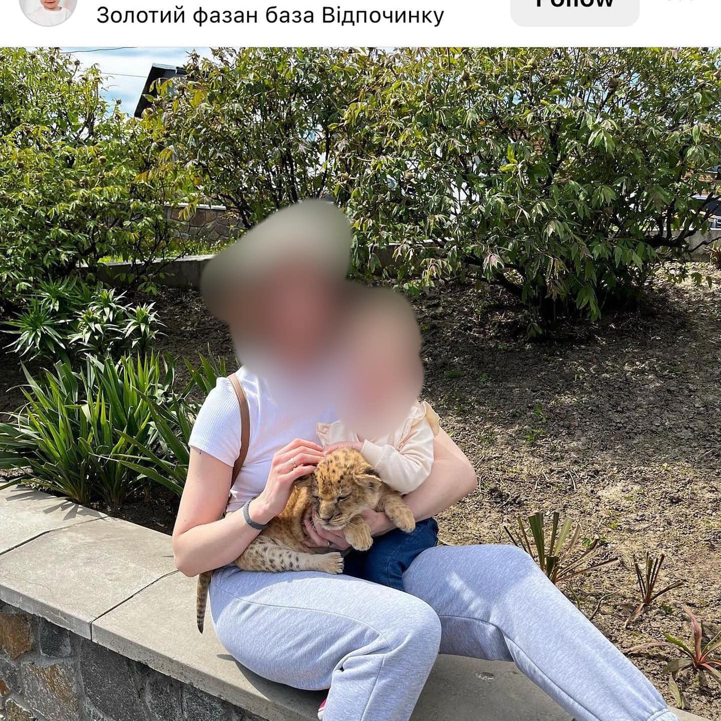 Фото: facebook.com/UAnimals.official