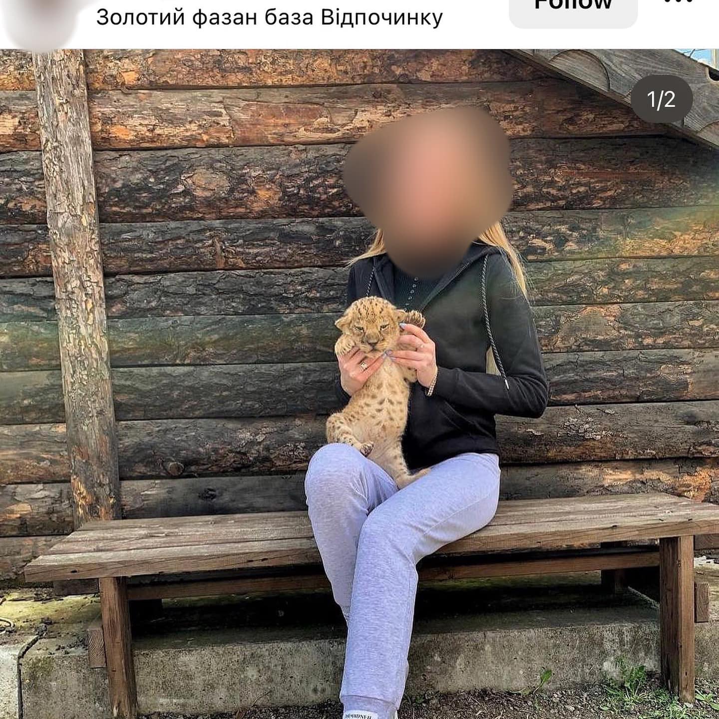 Фото: facebook.com/UAnimals.official