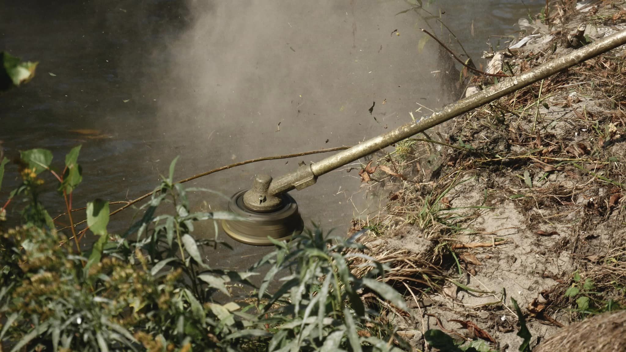 Фото: facebook.com/pleso2016