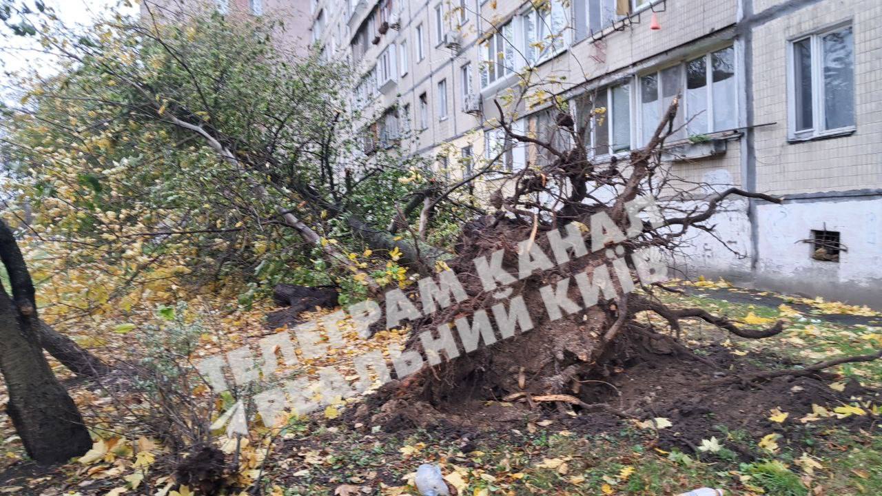 Фото: t.me/kievreal1