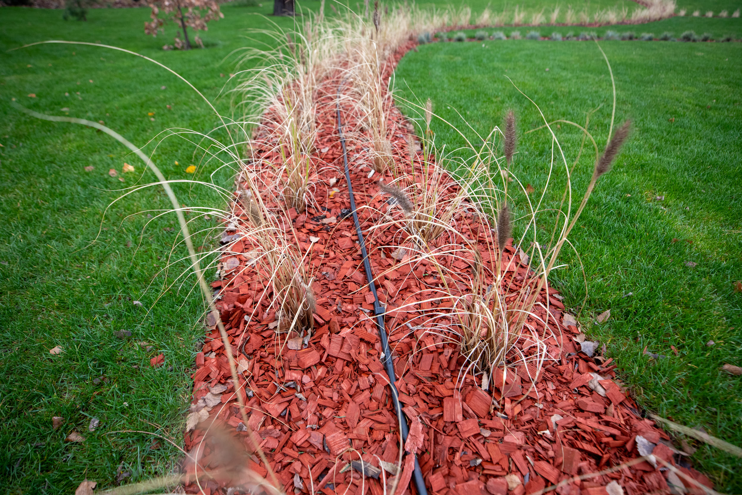 Фото: kyivcity.gov.ua