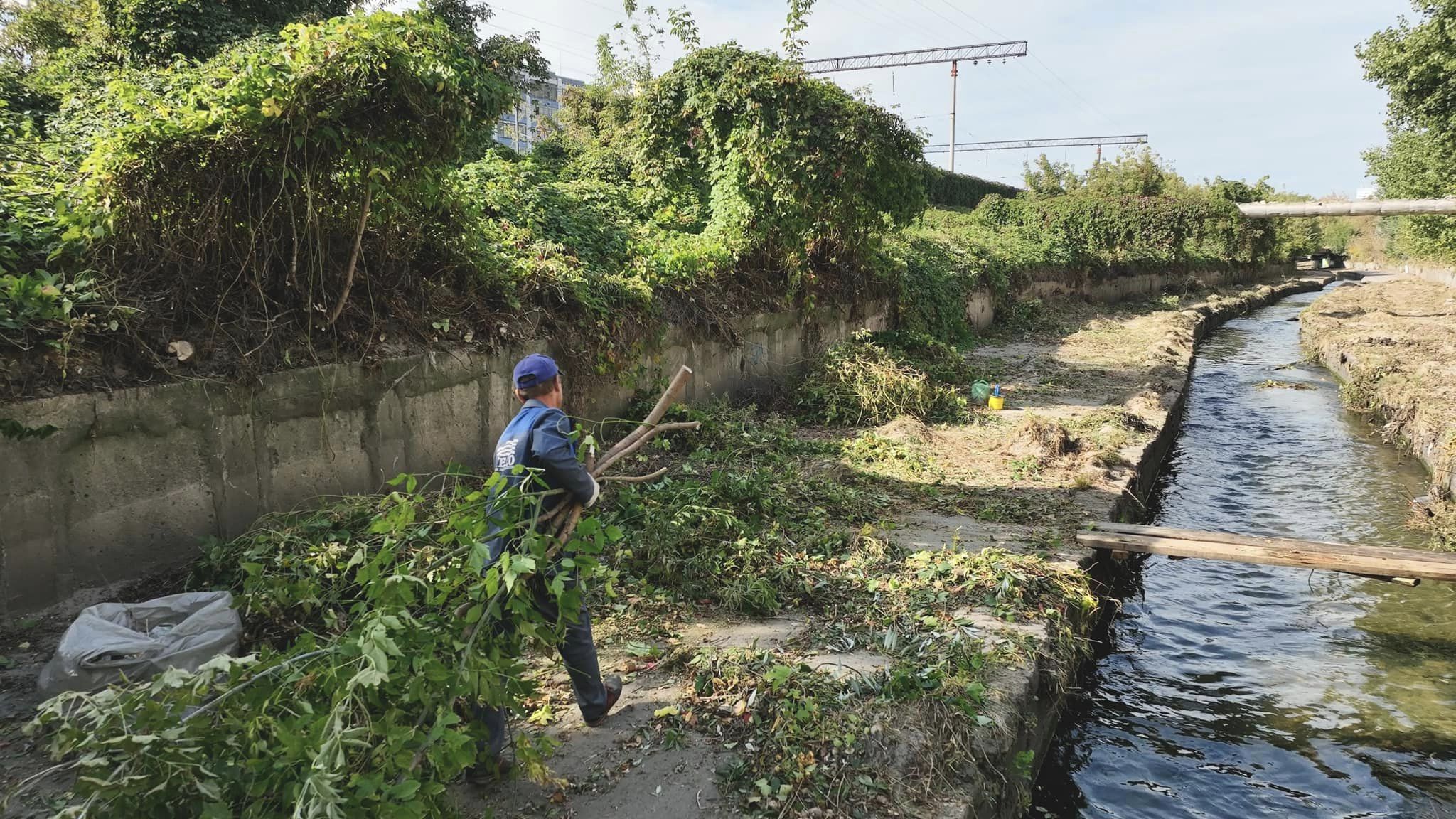 Фото: facebook.com/pleso2016