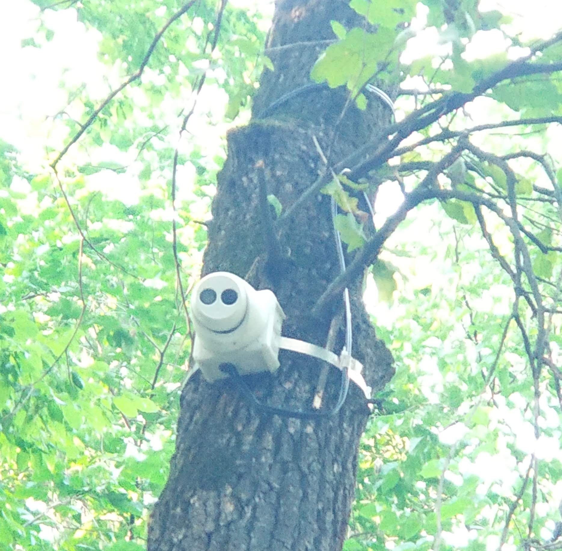 Фото: facebook.com/groups/1578992759051504