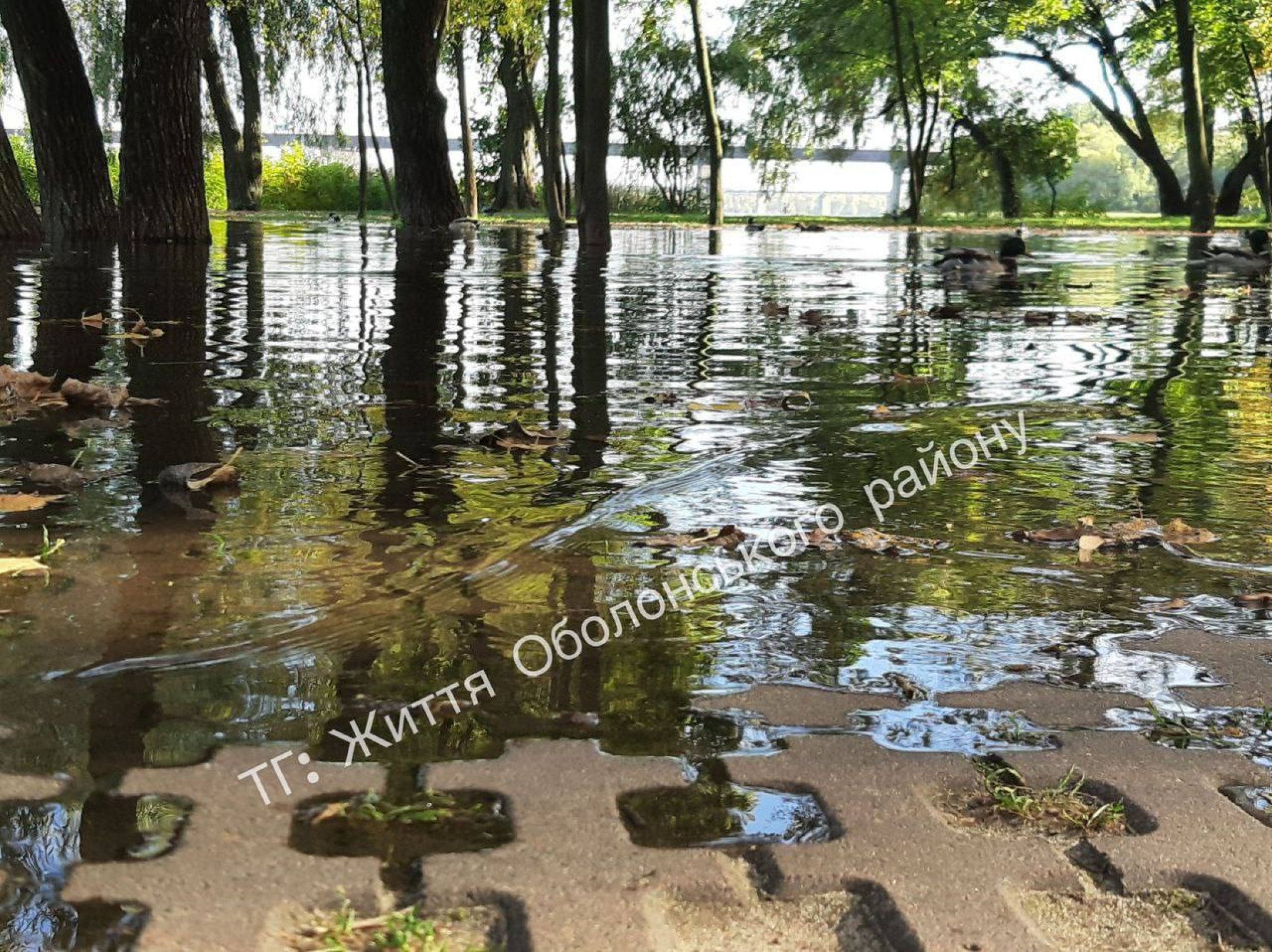 Фото: ТГ Життя Оболонського району
