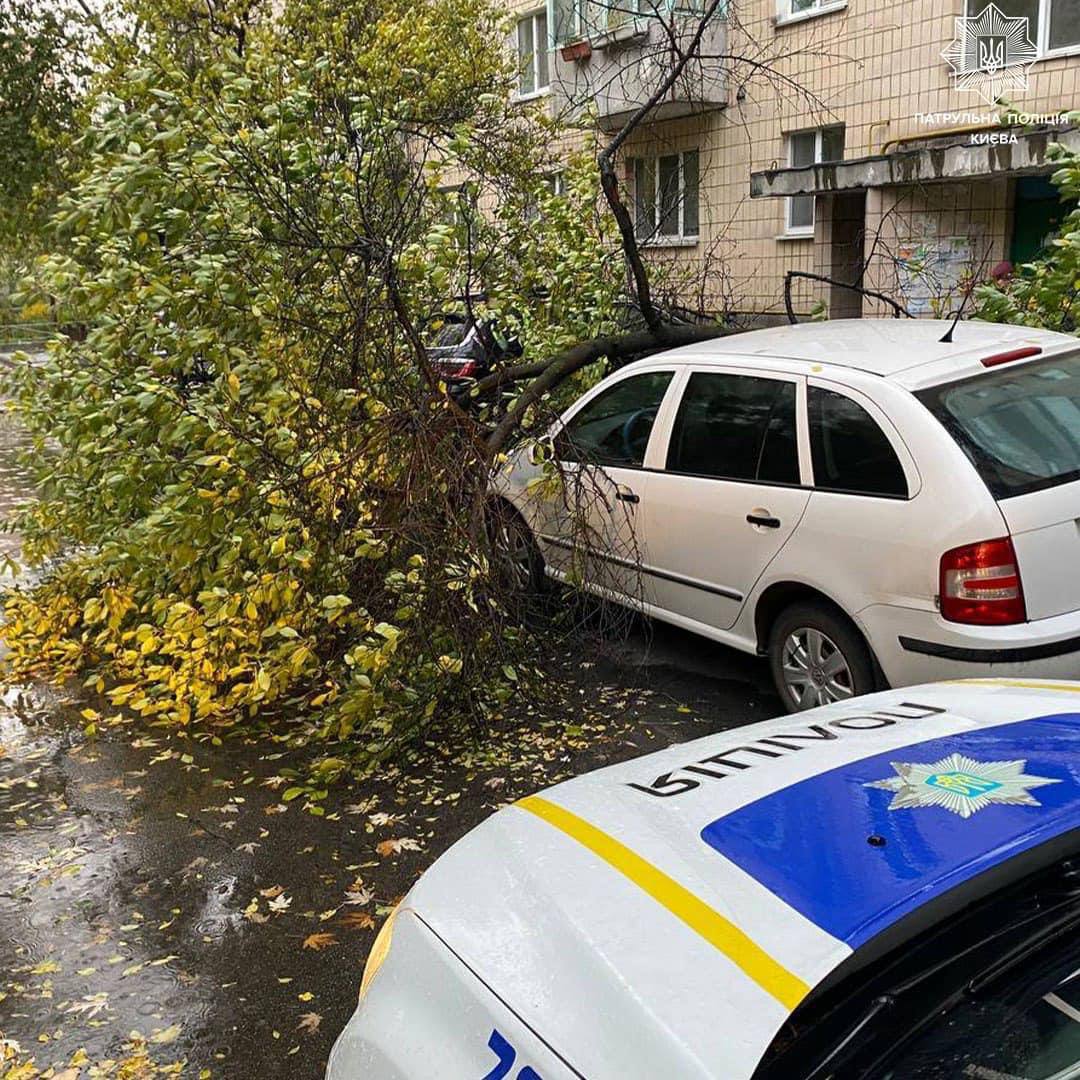 Последствия урагана в Киеве: поврежденные дома, авто, киоски, блокированные  дороги - фото и видео - Киев Vgorode.ua