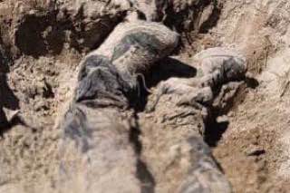 Фото: t.me/andrii_nebytov