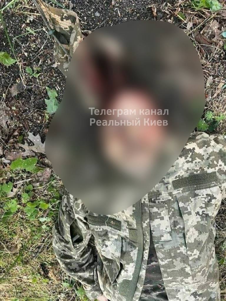 фото вбитого.