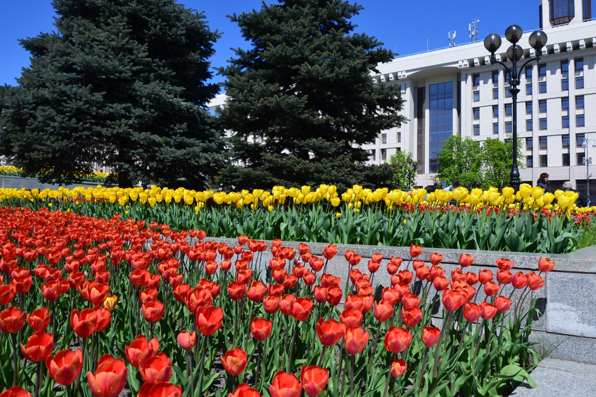 Фото: facebook.com/zelenbud