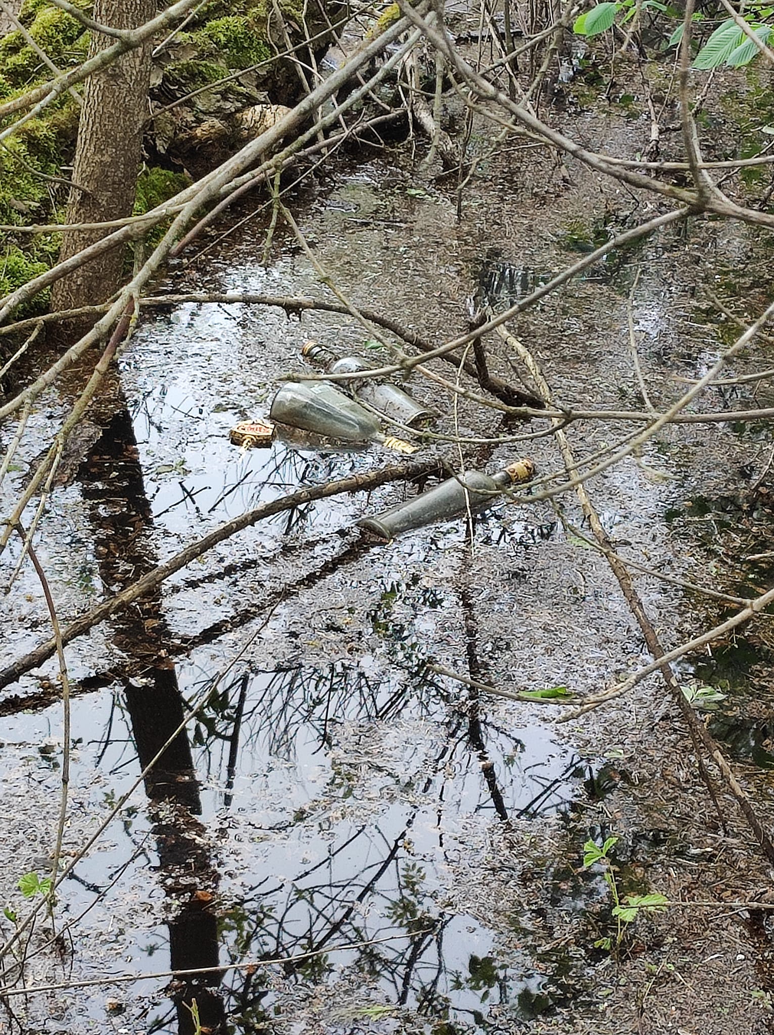 Фото: facebook.com/oleksandr.sokolenko