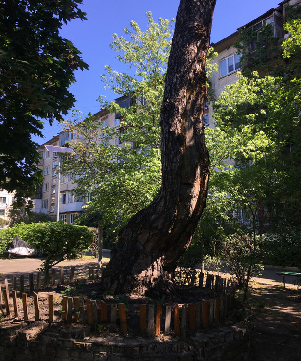 Фото: telegraf.com.ua