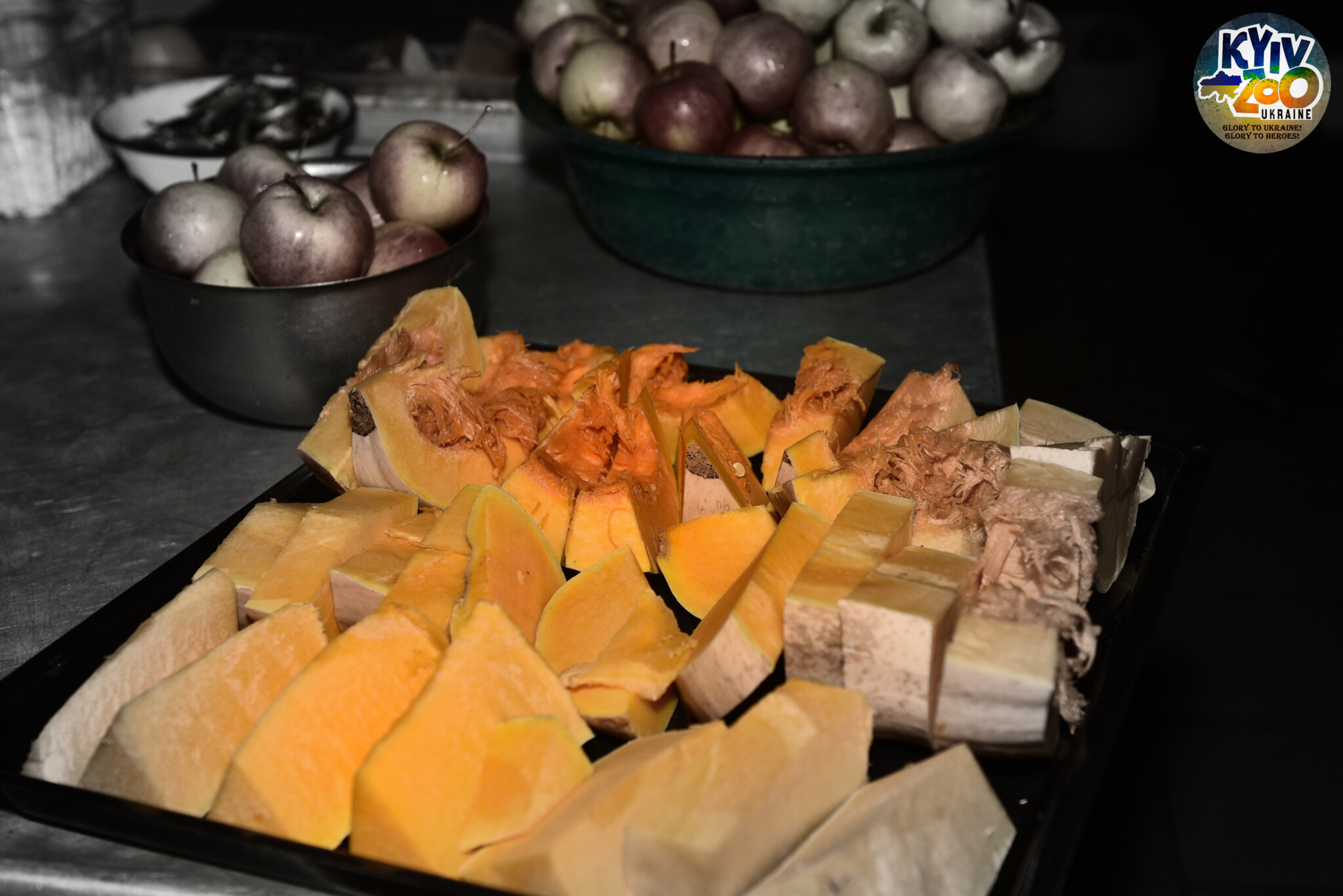 "Блюда" для животных.