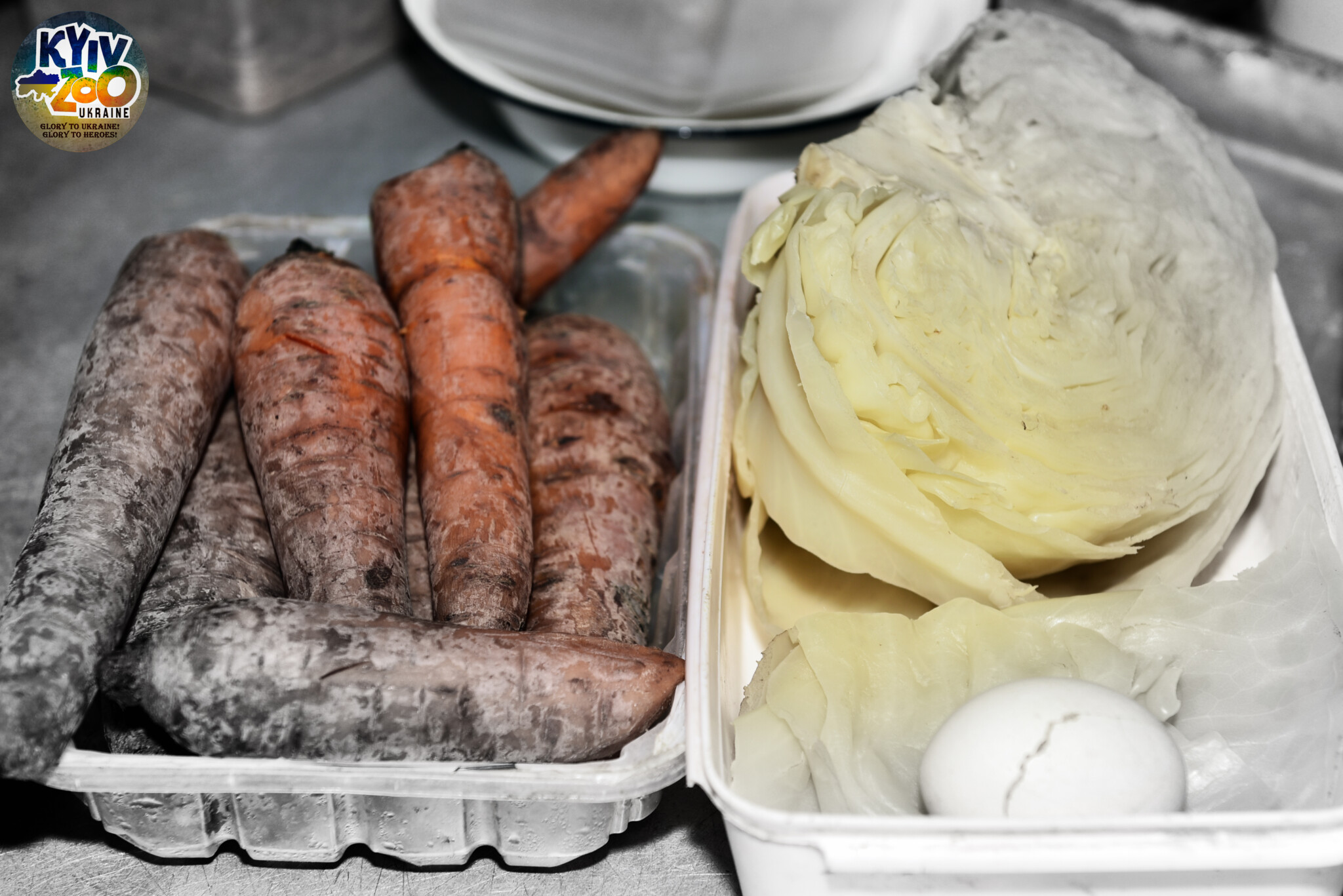 "Блюда" для животных.