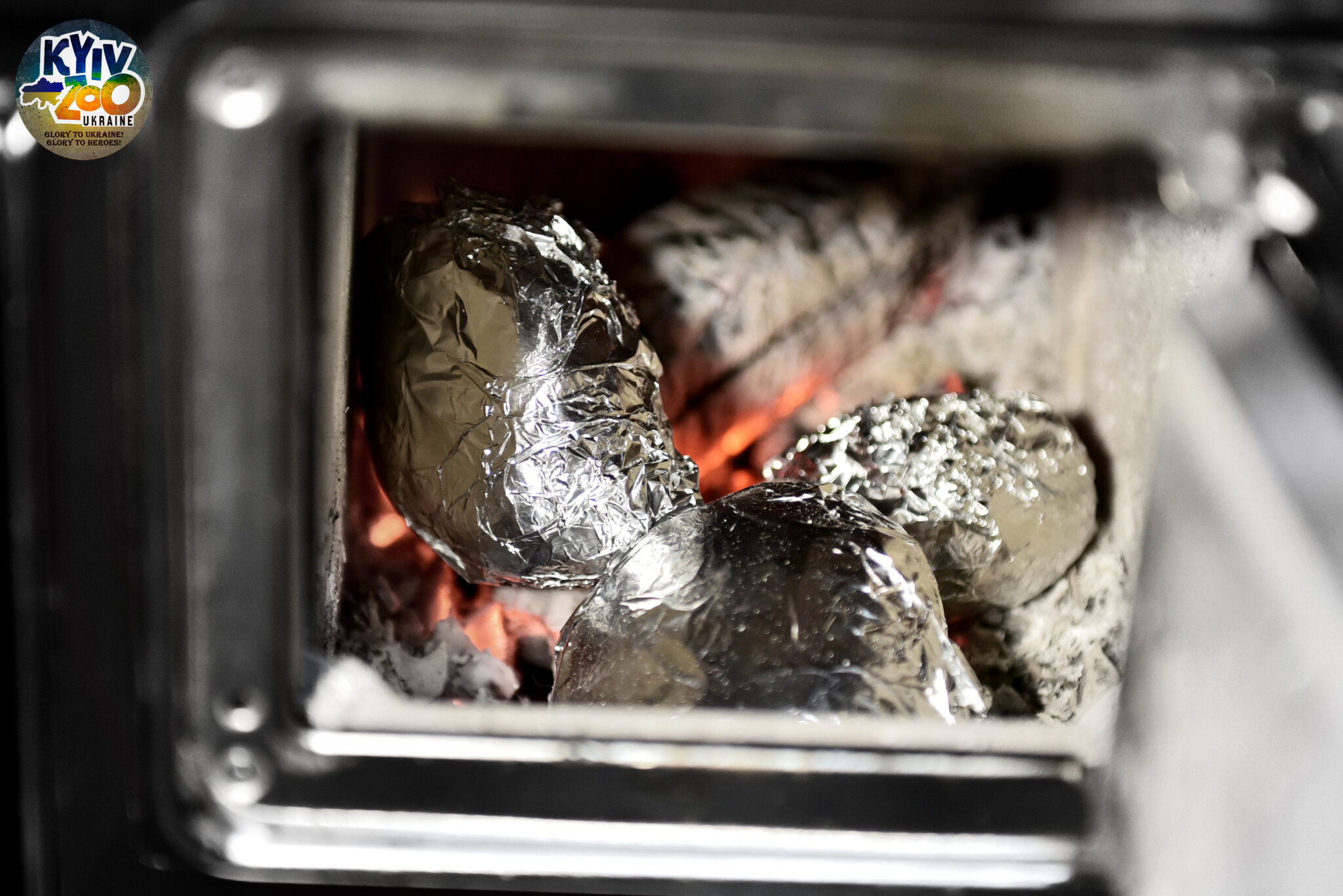 "Блюда" для животных.