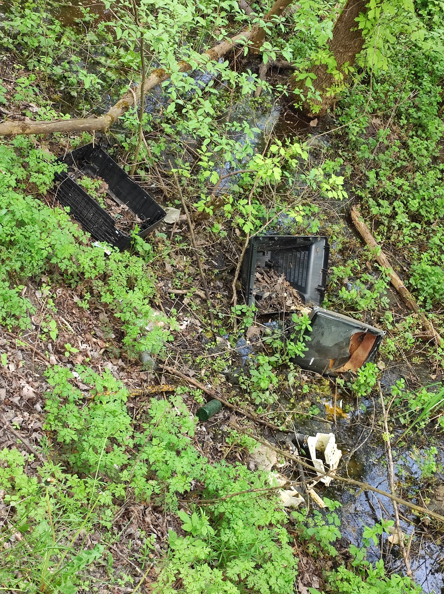 Фото: facebook.com/oleksandr.sokolenko