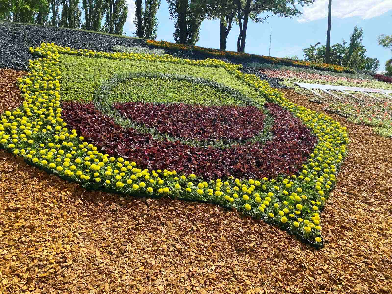  Фото: facebook.com/zelenbud