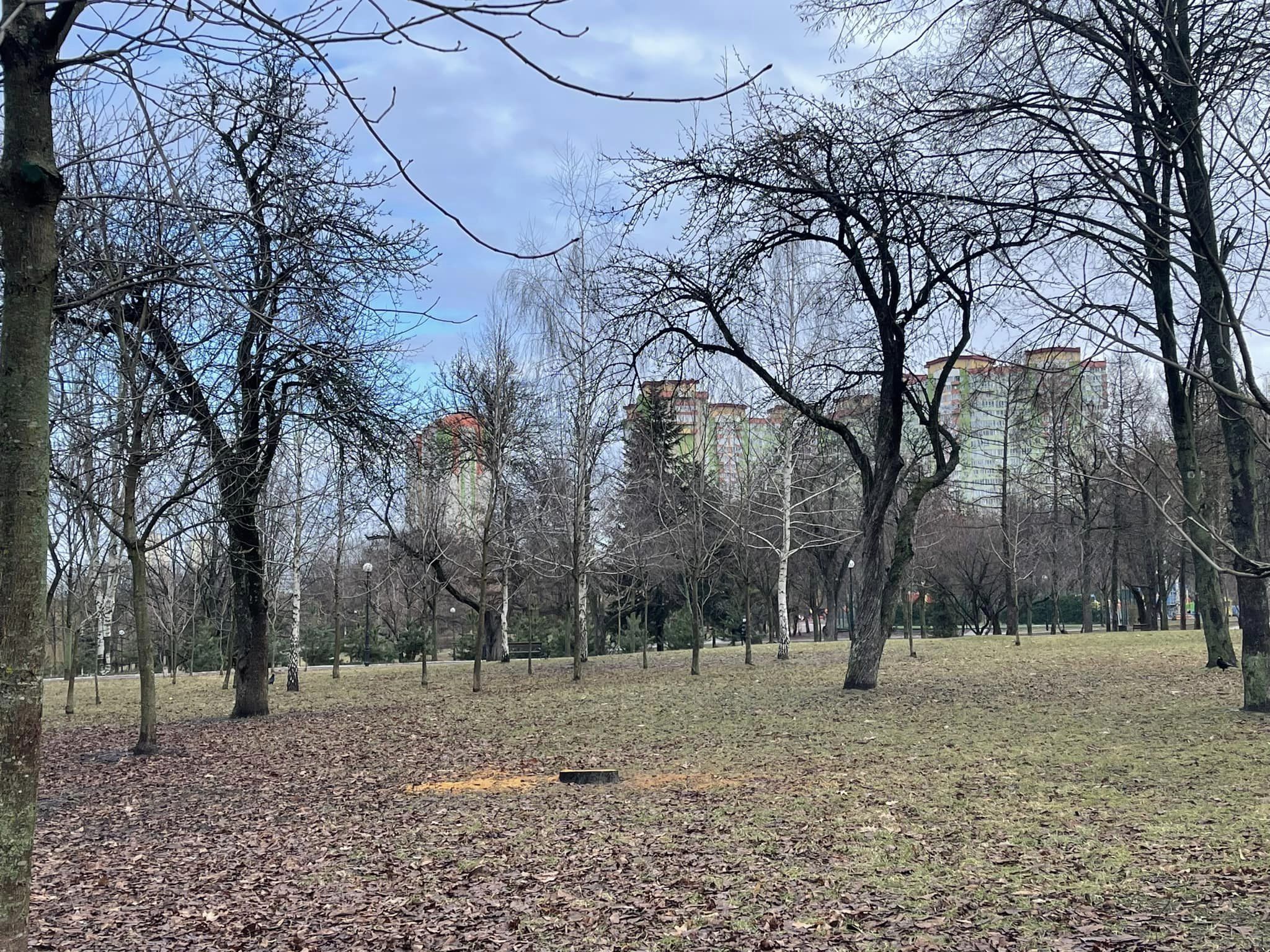 Фото: facebook.com/shelevytska