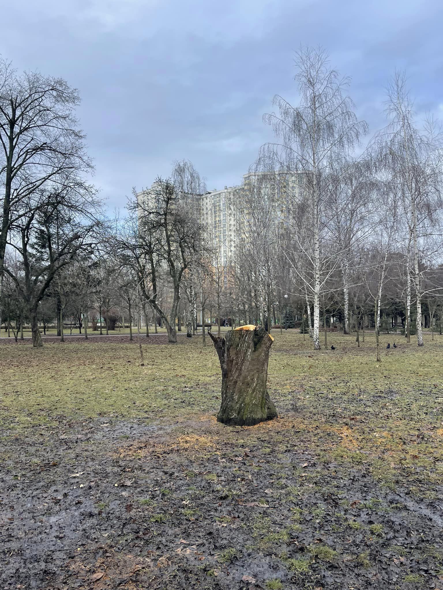 Фото: facebook.com/shelevytska