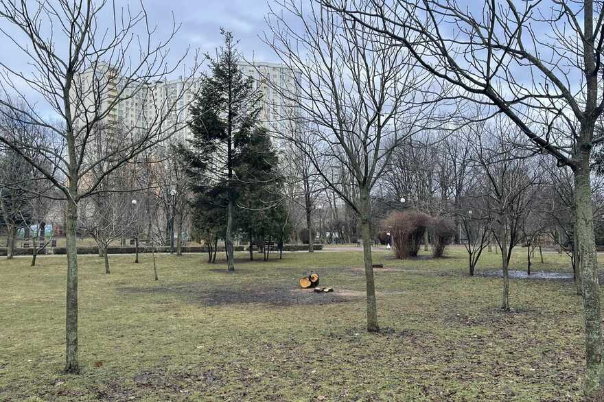 Фото: facebook.com/shelevytska