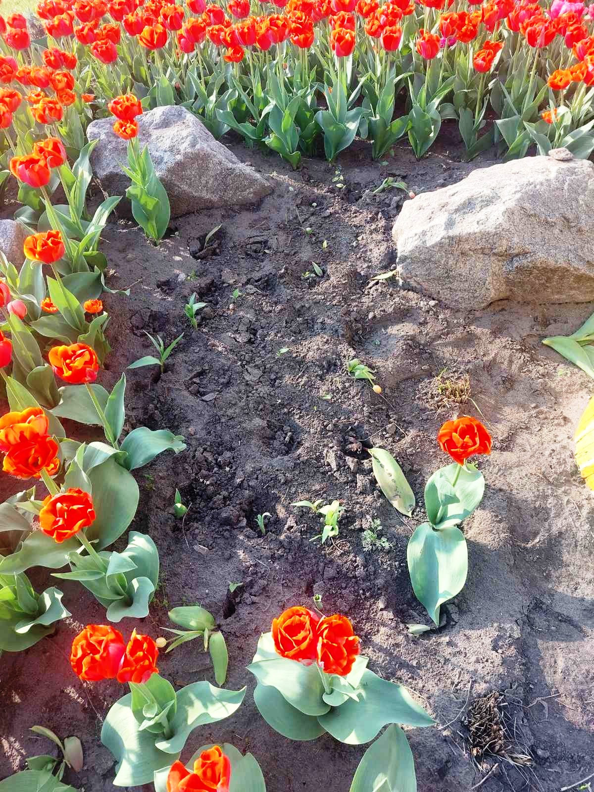 Фото: facebook.com/zelenbud