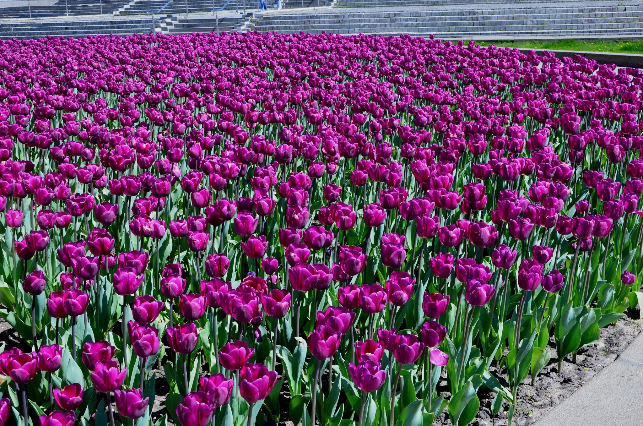 Фото: facebook.com/zelenbud