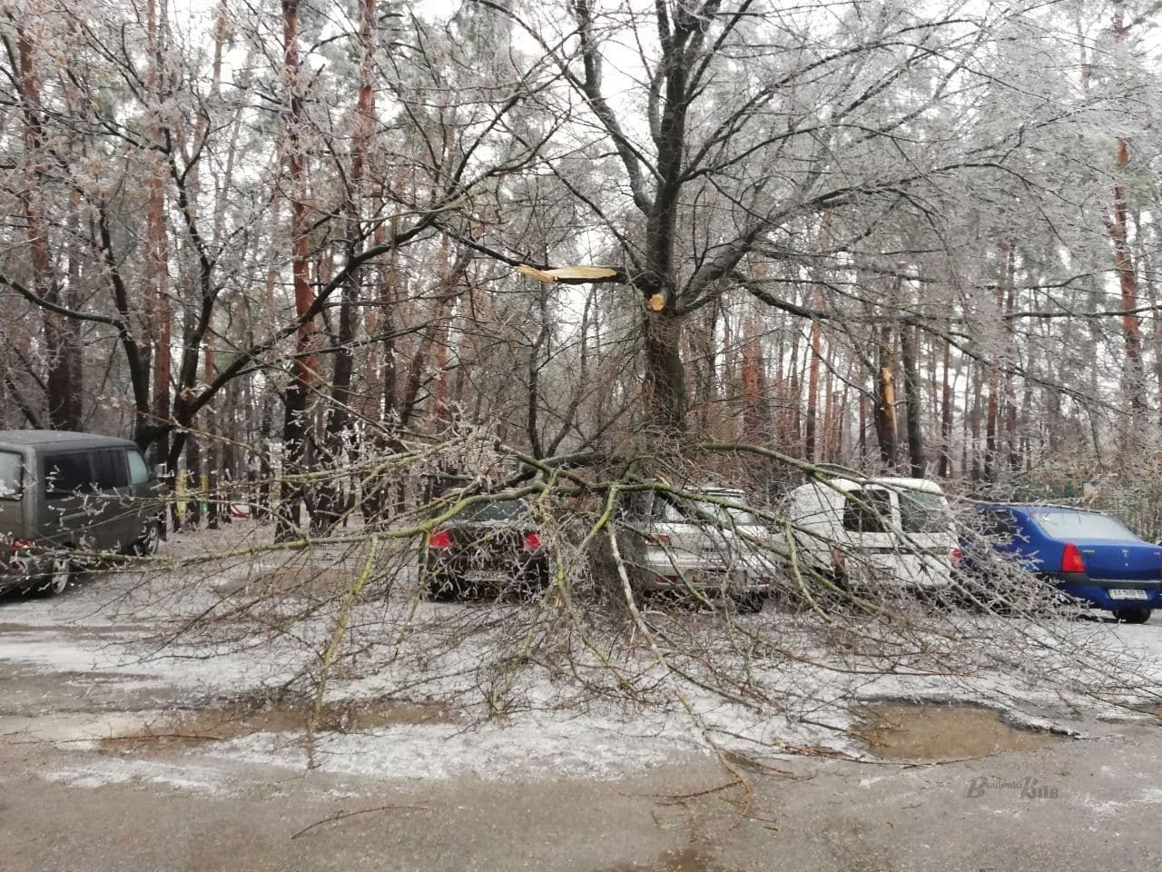 Фото: vechirniy.kyiv.ua