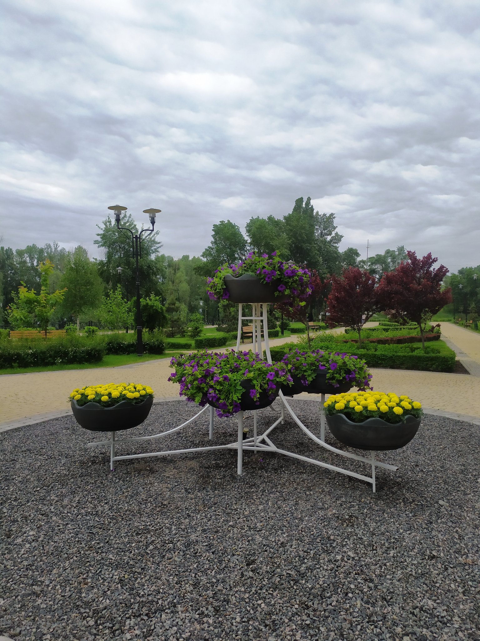 Фото: facebook.com/zelenbud